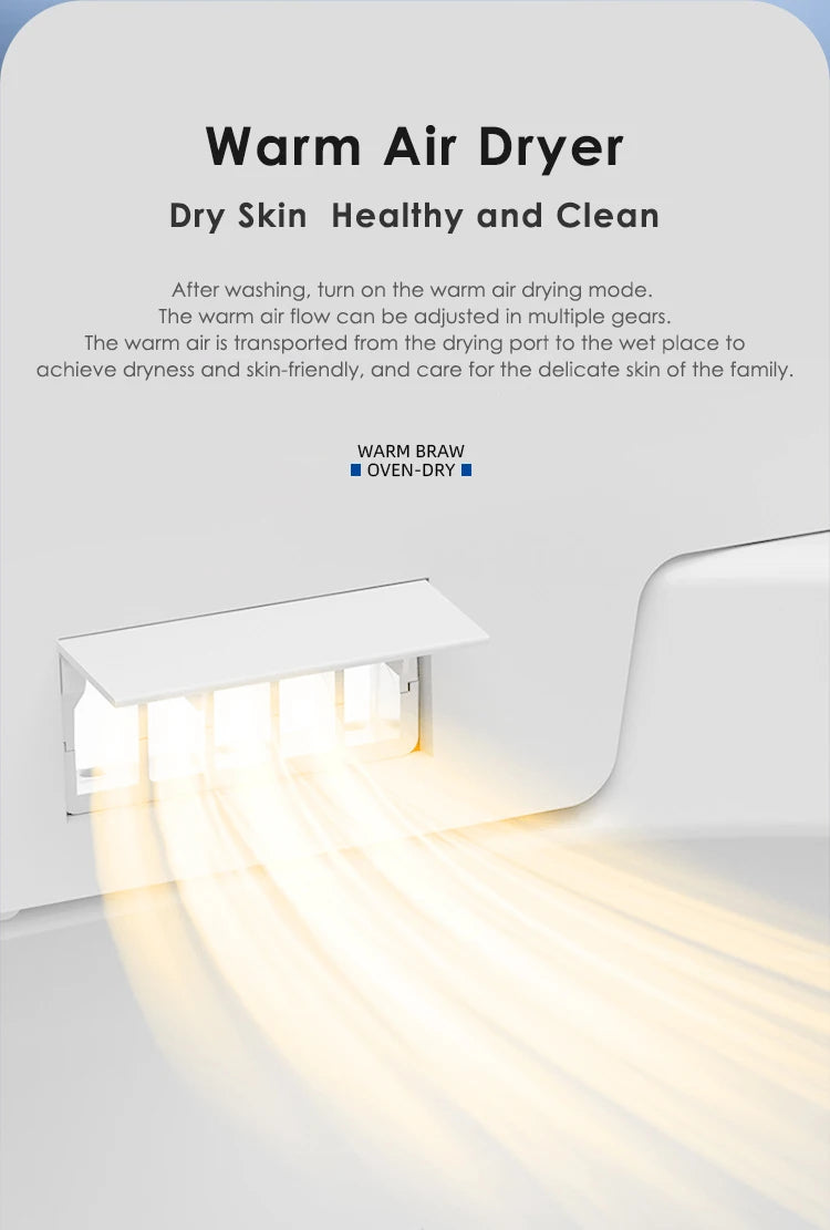 Intelligent Toilet, Wireless Remote Control, Floor Vent Intelligent Toilet, Intelligent Toilet with Cistern, Domestic Commercial