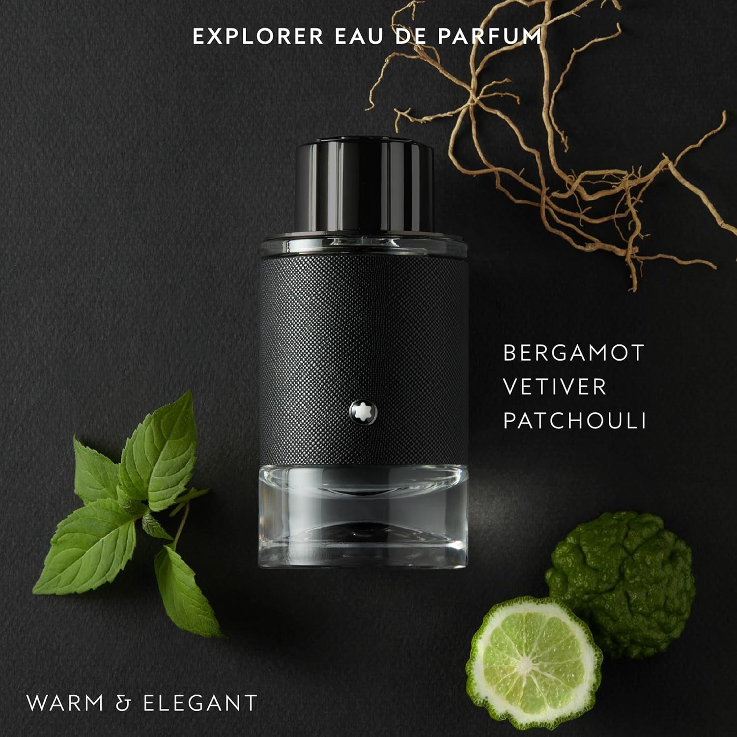 Mont Blanc Explorer EDP Spray Men 3.3 Oz