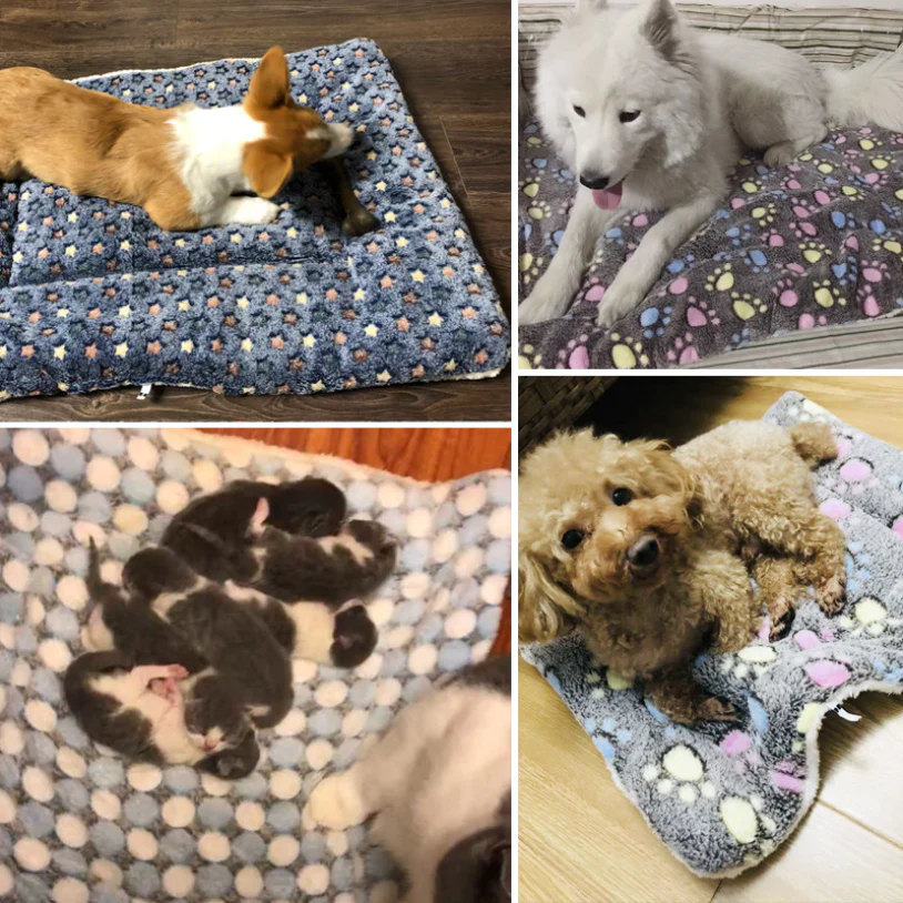 Luxury Thickened Flannel Pet Blanket for Dogs and Cats - Cozy Sleep Mat