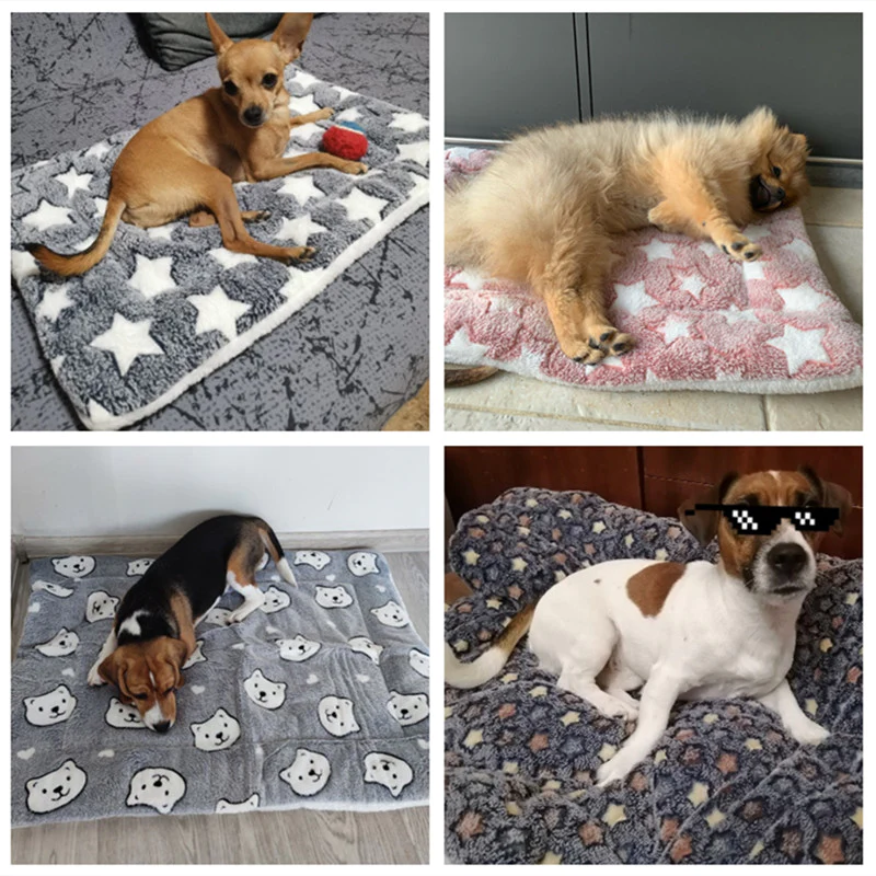 Luxury Thickened Flannel Pet Blanket for Dogs and Cats - Cozy Sleep Mat