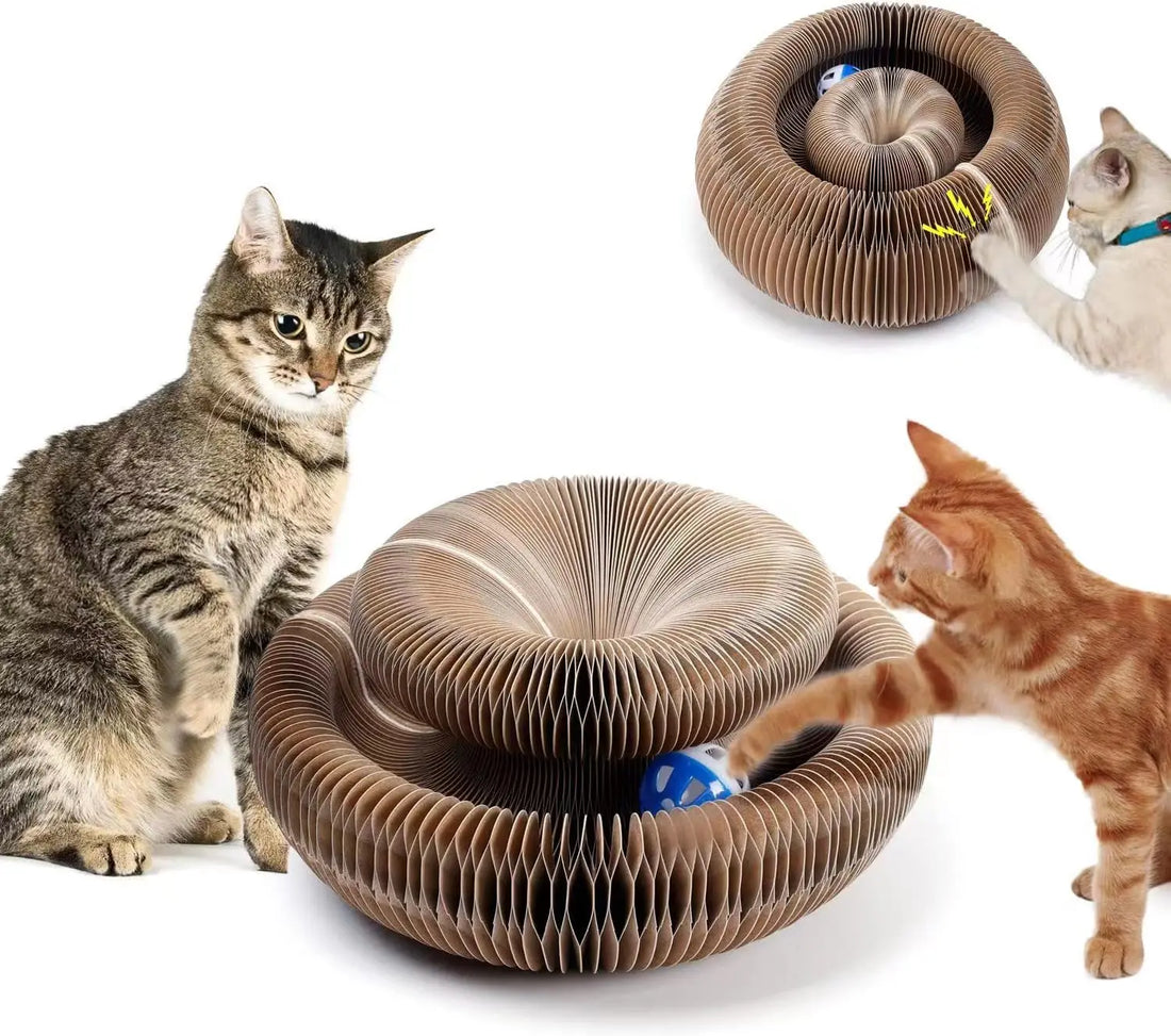 Hot Selling Cat Scratching Boards Folding Magic Organ Cat Toy with Ball Corrugated Paper Board for Cat Grinding Claw