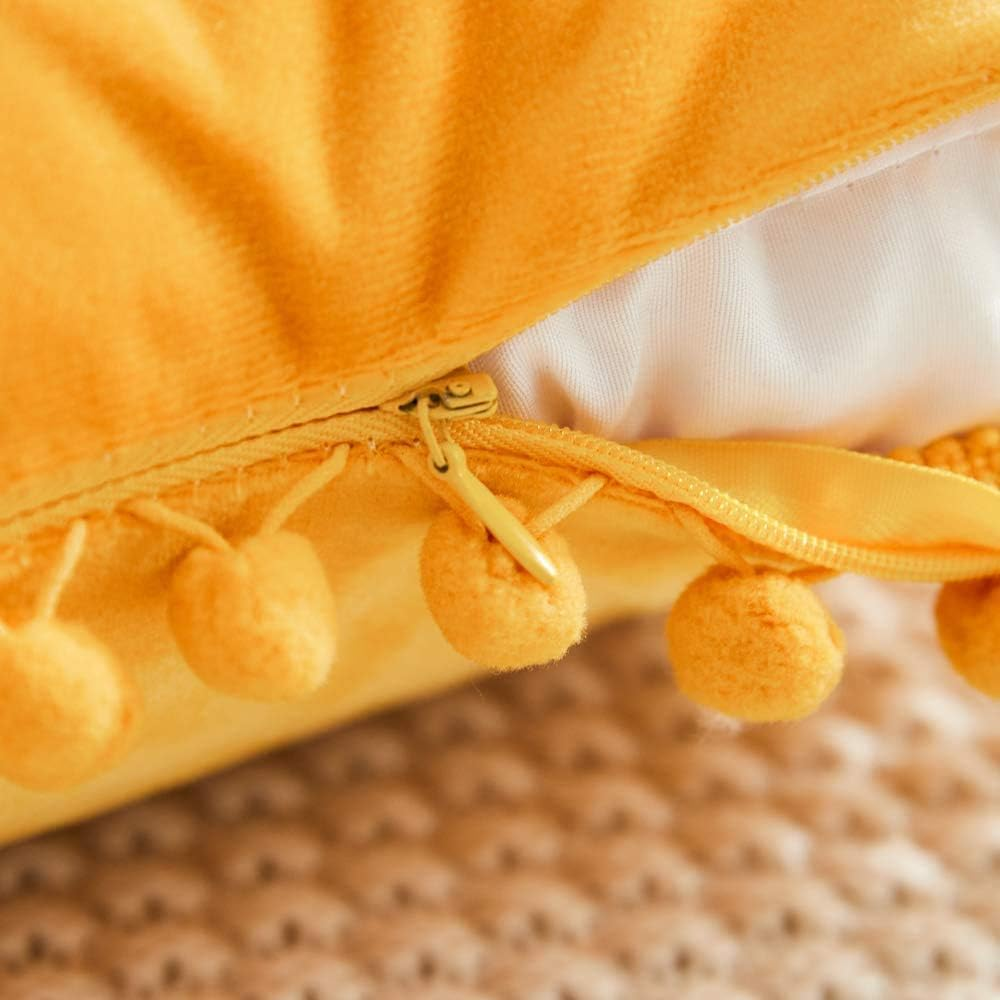 Decorative Throw Pillow Covers with Pom Poms, Pack of 2 Soft Particles Velvet Pi