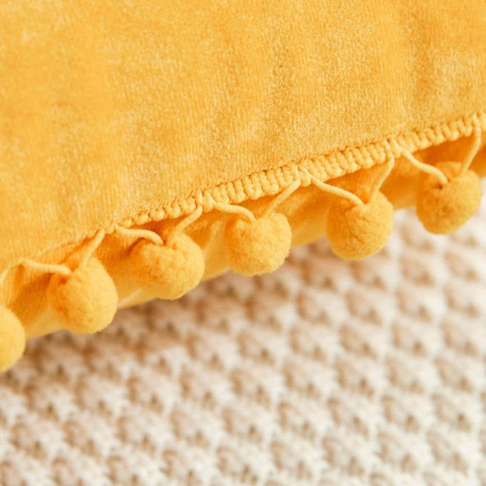 Decorative Throw Pillow Covers with Pom Poms, Pack of 2 Soft Particles Velvet Pi