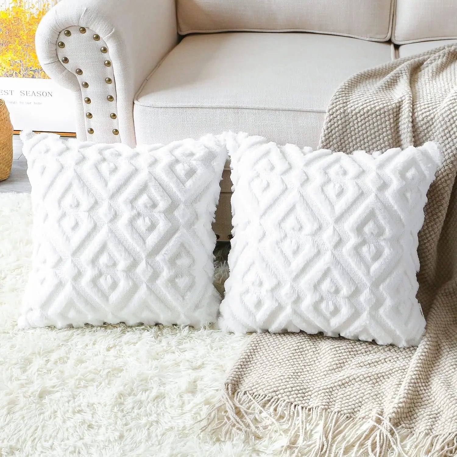 Pack of 2 Soft Plush Short Wool Velvet Decorative Throw Pillow Covers Luxury Sty