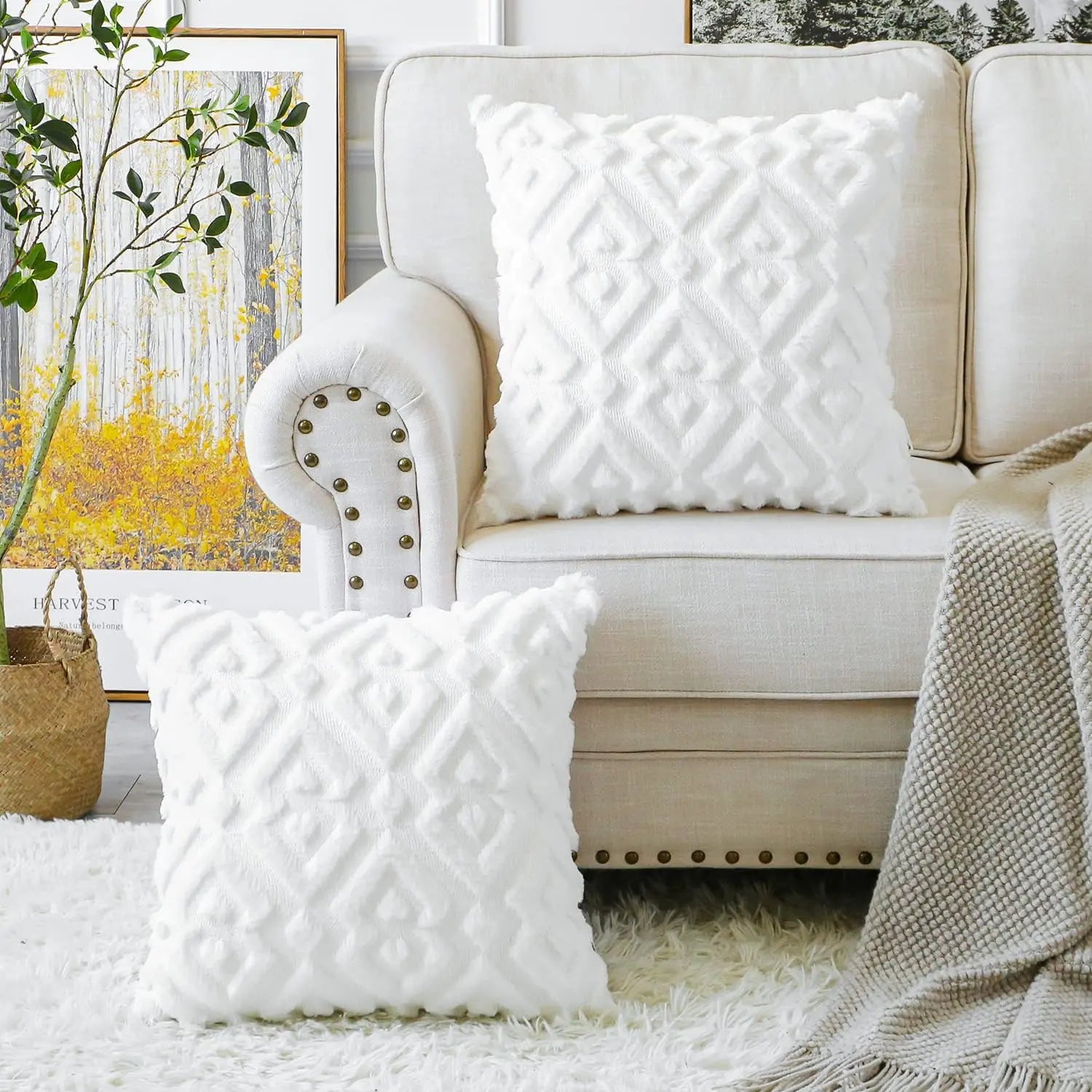 Pack of 2 Soft Plush Short Wool Velvet Decorative Throw Pillow Covers Luxury Sty