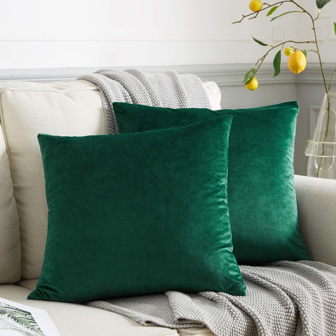 Soft Velvet Throw Pillow Covers 18 X 18, Pack of 2 Decorative Solid Square Cushi