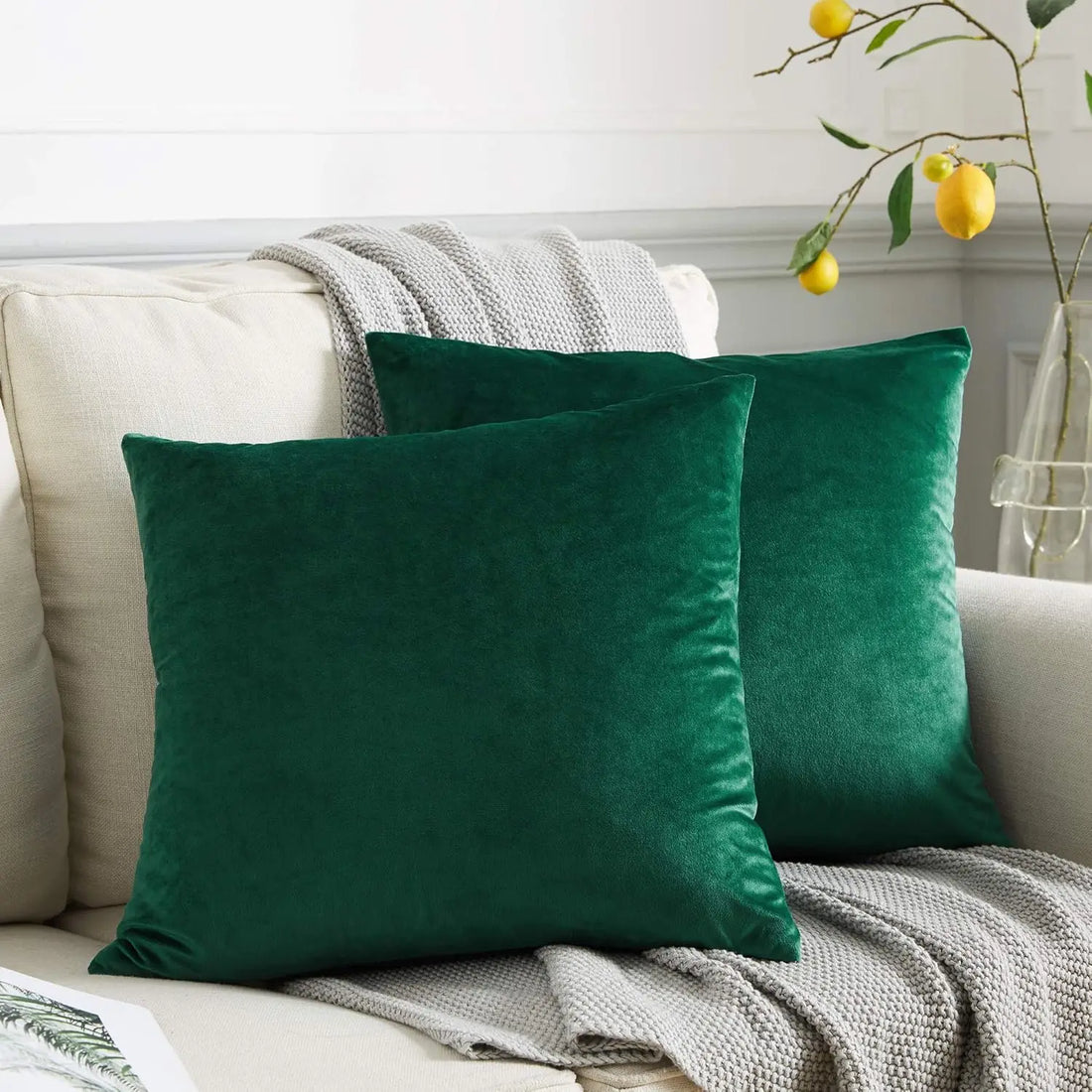 Soft Velvet Throw Pillow Covers 18 X 18, Pack of 2 Decorative Solid Square Cushi