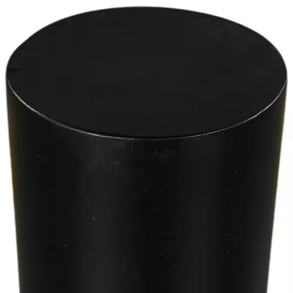 Tia 12 In. Matte Black round Mango Wood Side End Table with Turned Pedestal Base