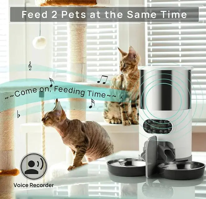 AutoServe Pet Feeder - Mohammad collection