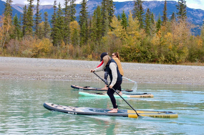 Peyto 11&