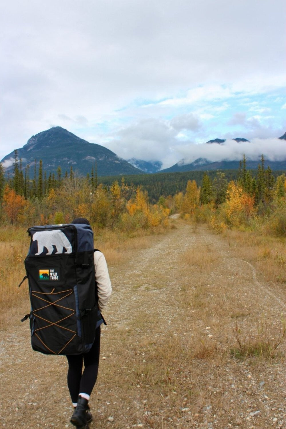 Peyto 11&